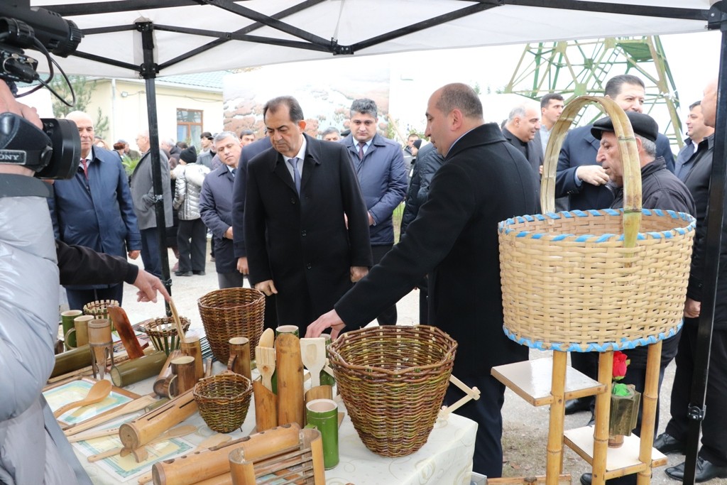 Lənkəranda "II Flaminqo Festivalı" keçirildi - FOTOLAR